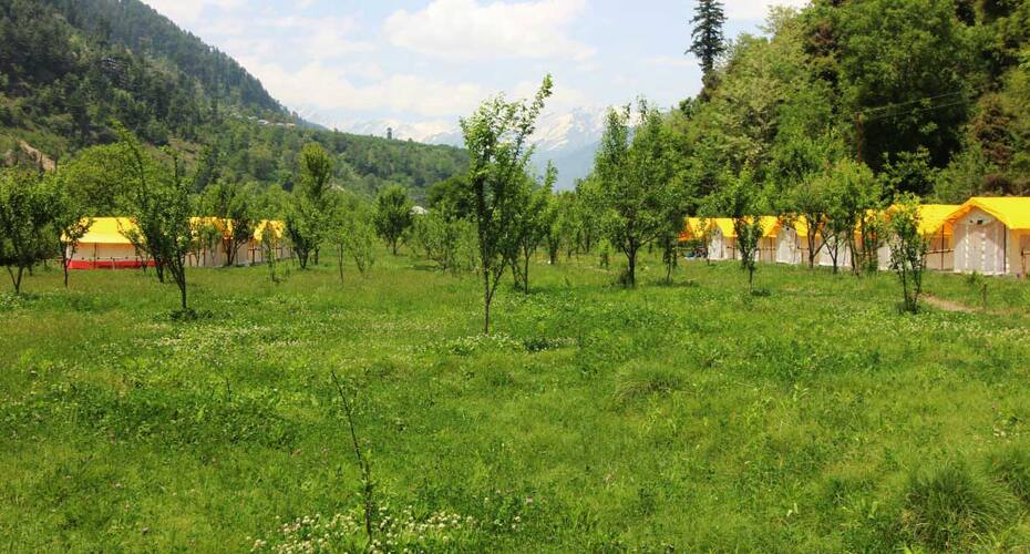Into Wild Himalaya Camps, Manali 5